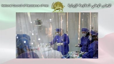 أكثر من 267900حالة وفاة كورونا في 541 مدينة في إيران
