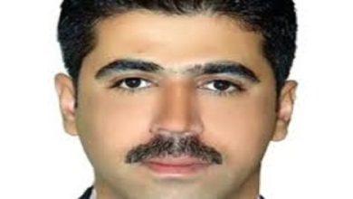القصة ومافيها إسقاط نظام ولاية الفقيه