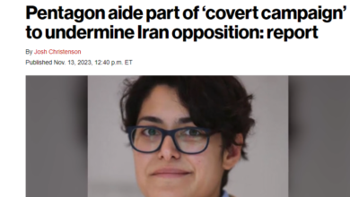 مقال في نيويورك بوست یفضح دور أرين طباطبايي لتشويه سمعة مجاهدي خلق