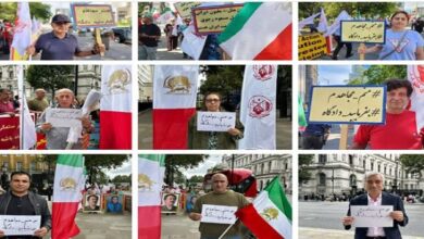 دور ونشاط دولي يشار له بالبنان