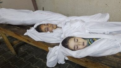 الحرب في غزة عرت وفضحت نظام الملالي