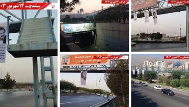 الصوت والصدى الدولي لوحدات المقاومة
