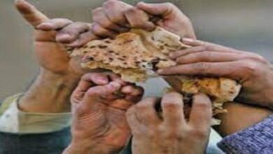 من صراع الذئاب الى رغيف الخبز الحجري