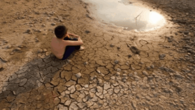 ليس الشعب بل حتى البيئة ضد النظام الايراني